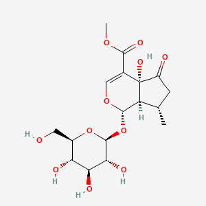 5-羟基马鞭草苷