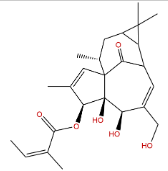 巨大戟醇-3-O-当归酸酯