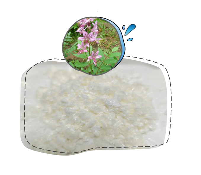 研发新批次-白鲜碱 批量入库!