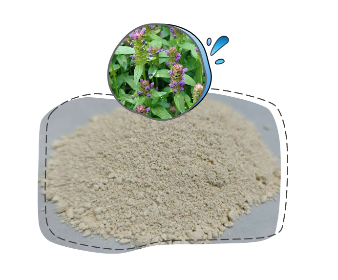 研发新批次-迷迭香酸 批量入库